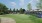 a large green lawn with trees and flowers