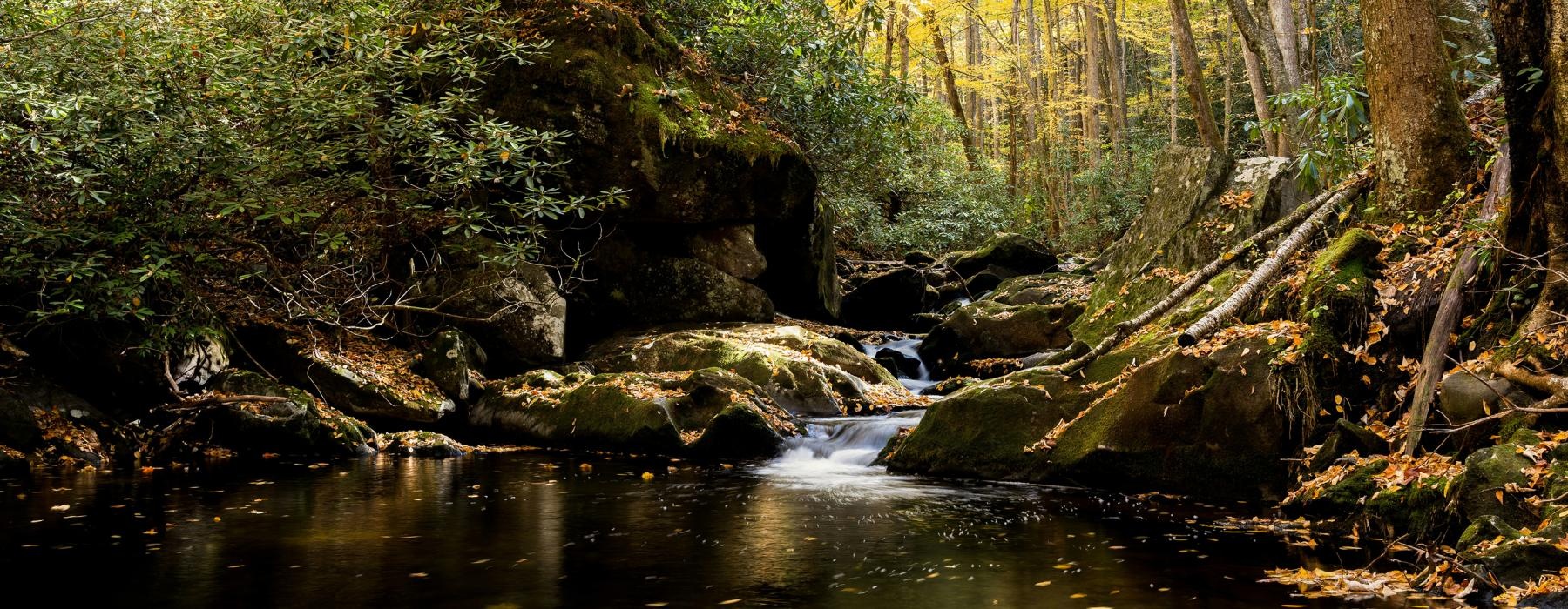 a river with rocks and trees