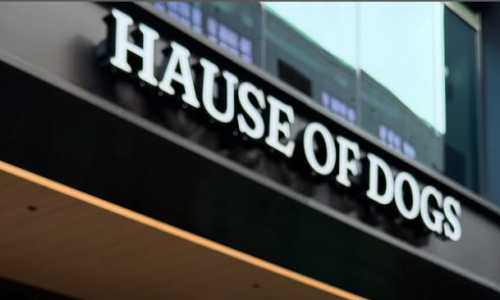 Hause of Dogs Raleigh Cover Image Hause of Dogs Raleigh Cover Image